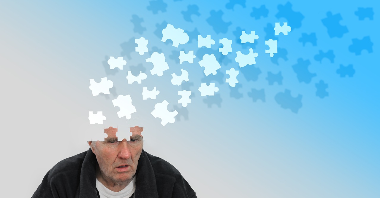 causes maladie d'alzheimer, source https://pixabay.com