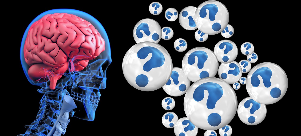 symptomes maladie d'alzheimer, source https://pixabay.com