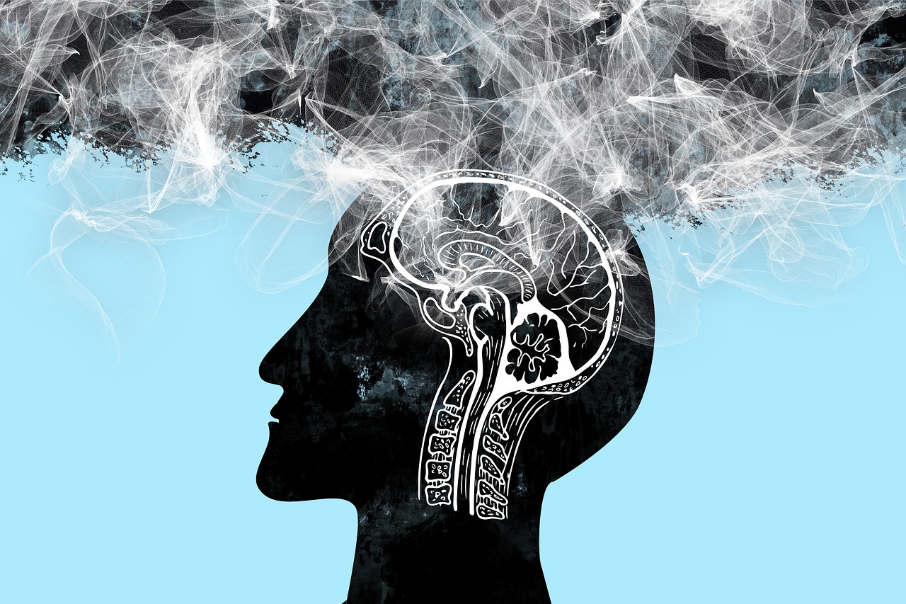 traitement maladie d'alzheimer, source https://pixabay.com