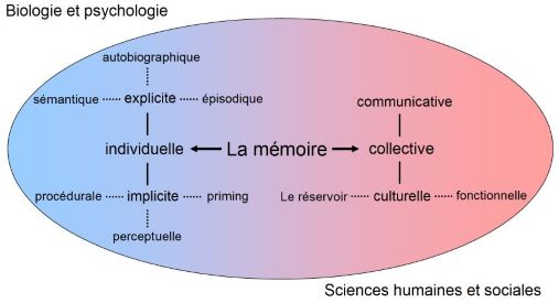 Amnésie, source https://commons.wikimedia.org/wiki/File:Memoire.gif