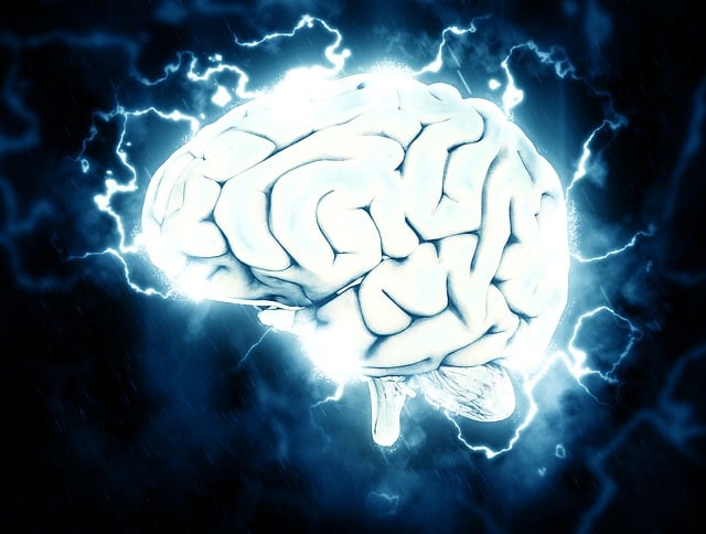 cerveau, source https://pixabay.com