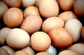 oeufs, source https://pxhere.com/fr/photo/1105864
